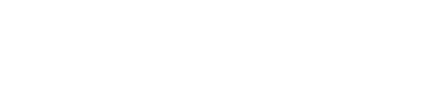 Accurate Franchising logo